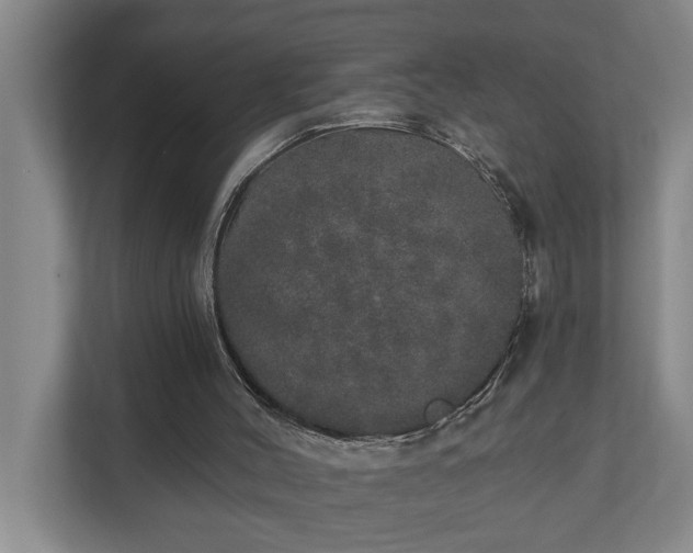 X0000110760004200906221131