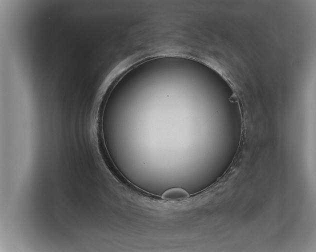 X0000110760007200906221131