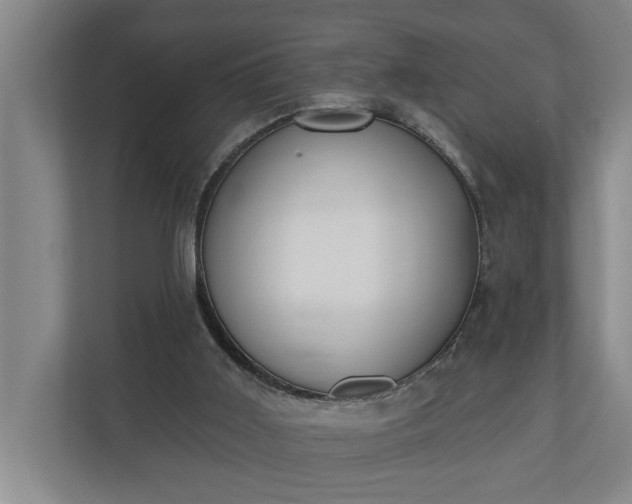 X0000110760011200906221131