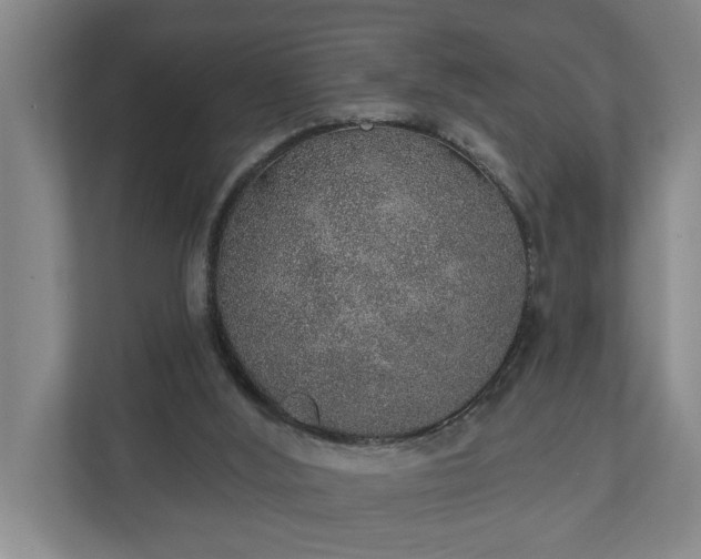 X0000110760012200906221131