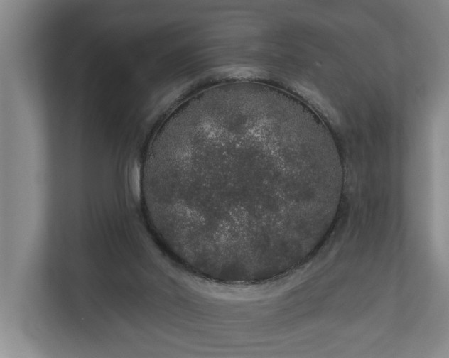 X0000110760014200906221131