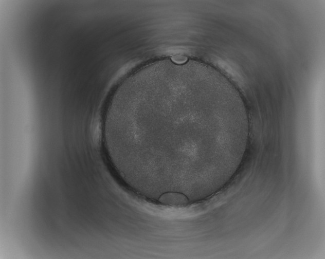 X0000110760016200906221131
