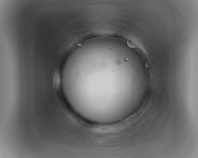 X0000110760021200906221131