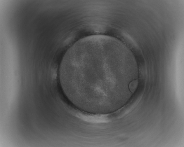 X0000110760032200906221131