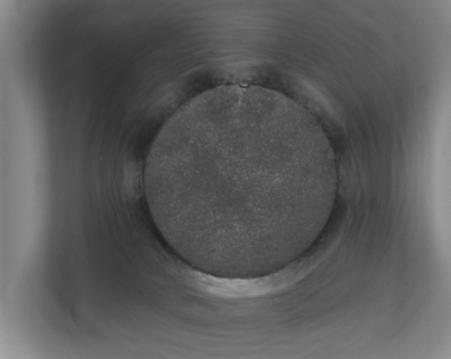 X0000110760034200906221131