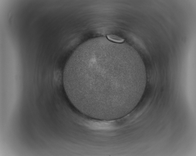 X0000110760036200906221131