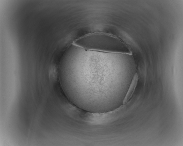 X0000110760037200906221131