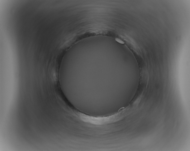 X0000110760039200906221131