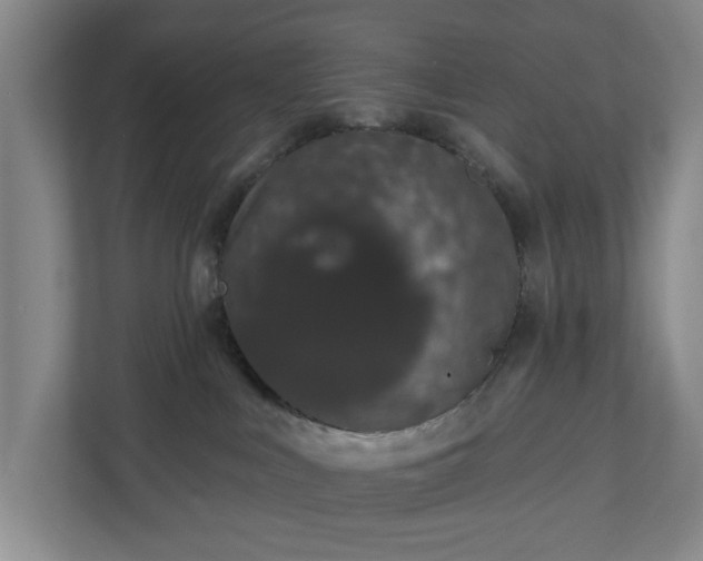 X0000110760043200906221131
