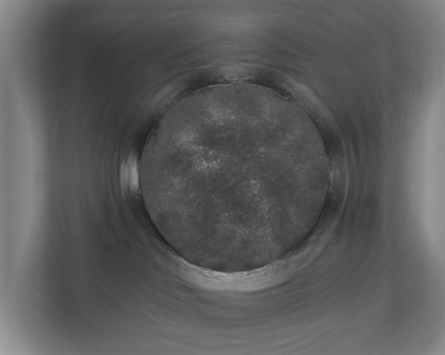X0000110760046200906221131