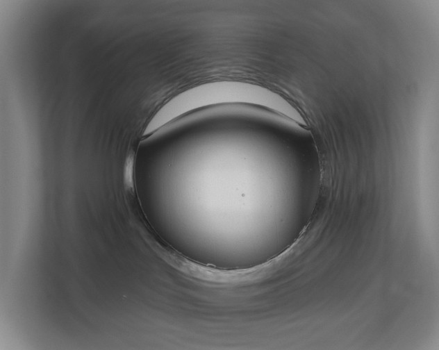 X0000110760047200906221131