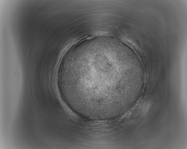X0000110760049200906221130
