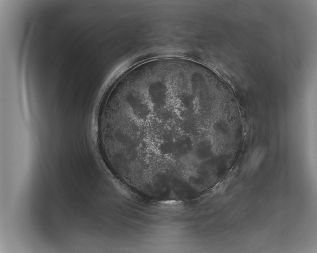 X0000110760053200906221130