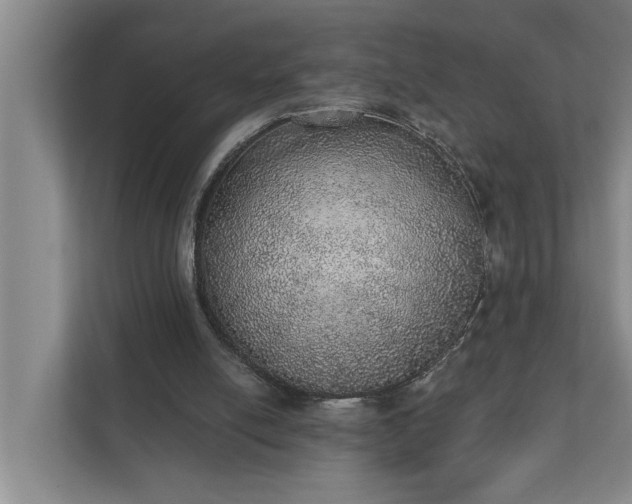 X0000110760054200906221130