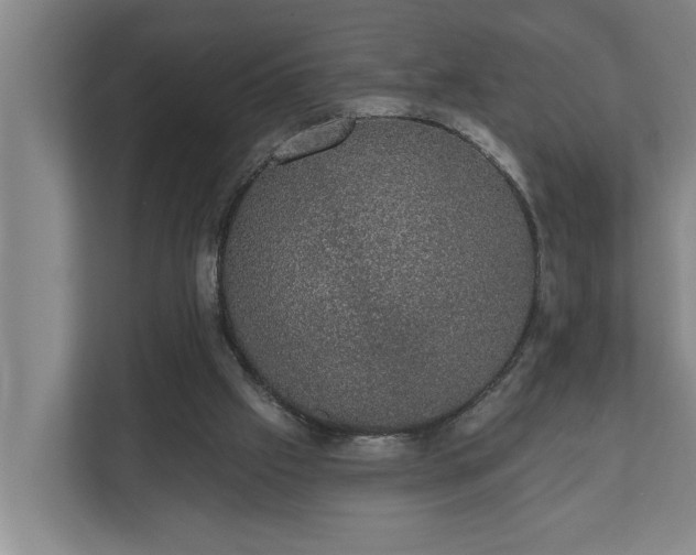 X0000110760057200906221130
