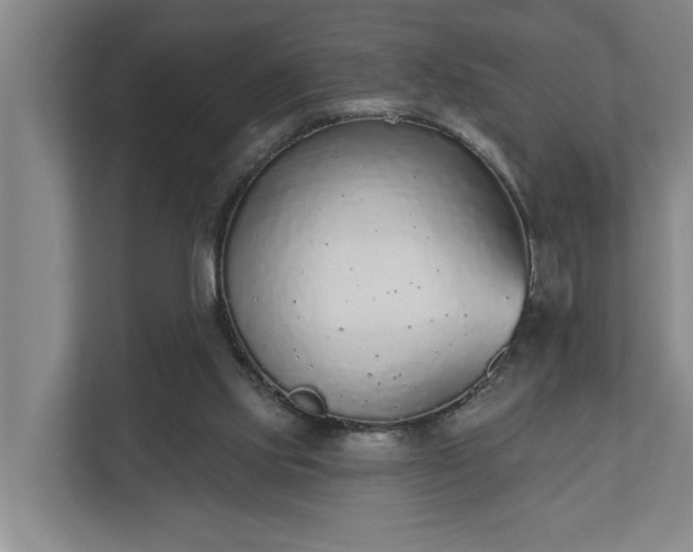 X0000110760061200906221130