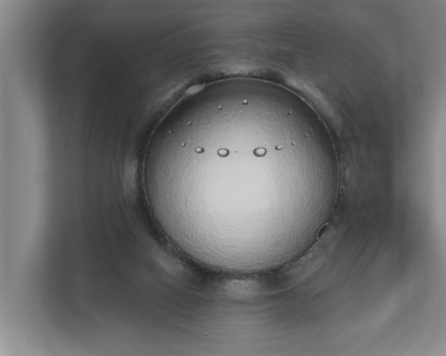 X0000110760066200906221130
