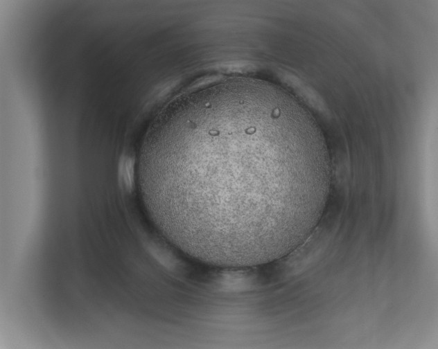 X0000110760070200906221130