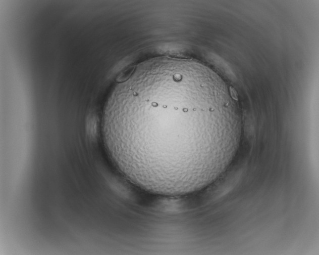 X0000110760071200906221130