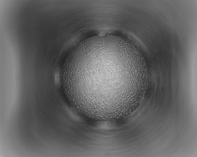 X0000110760074200906221130
