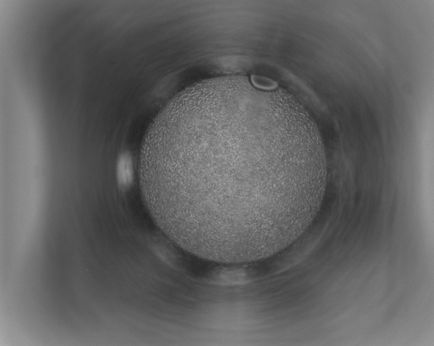 X0000110760075200906221130