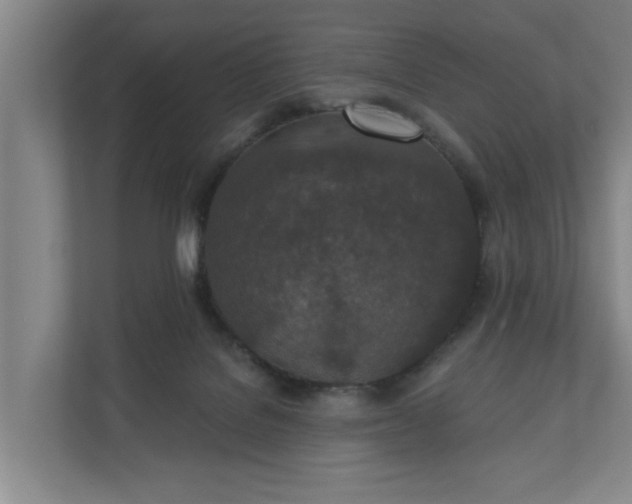 X0000110760076200906221130