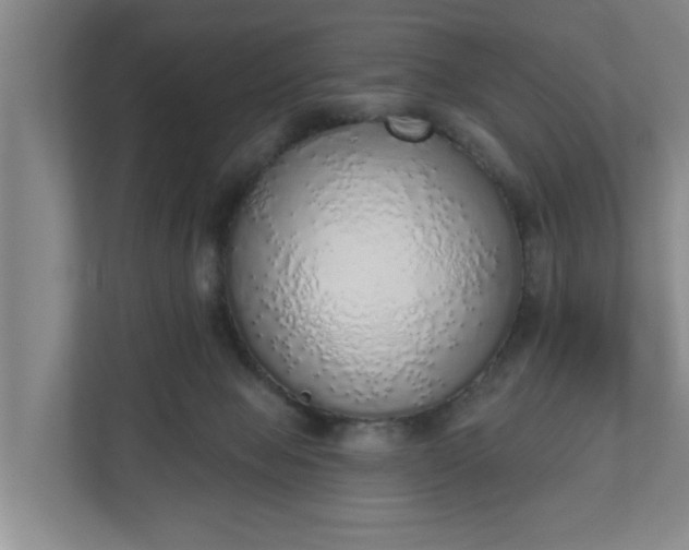 X0000110760077200906221130