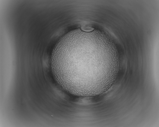 X0000110760078200906221130