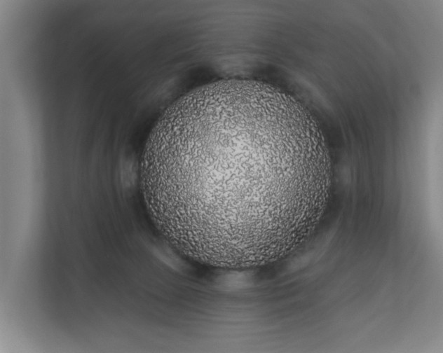 X0000110760081200906221130