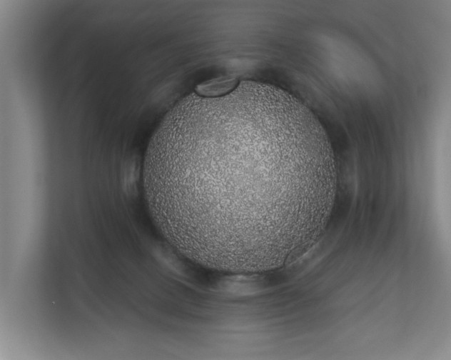 X0000110760082200906221130