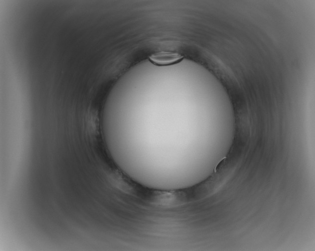 X0000110760083200906221130