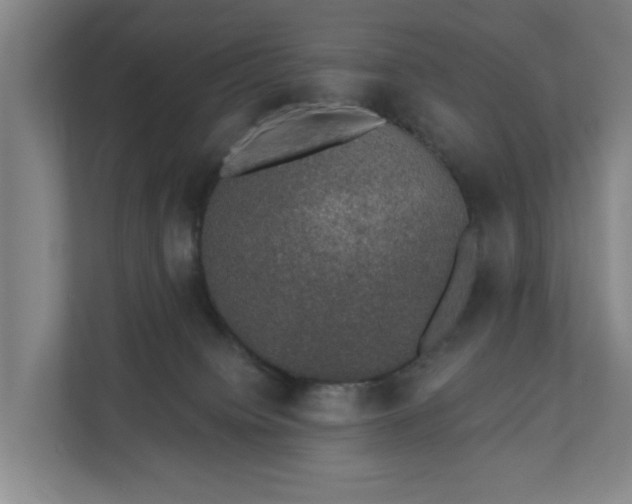 X0000110760084200906221130