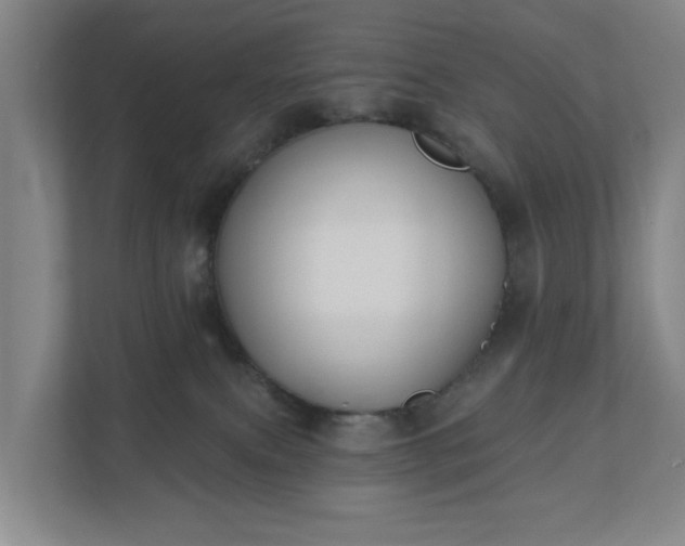 X0000110760087200906221131