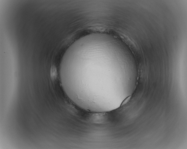 X0000110760089200906221131
