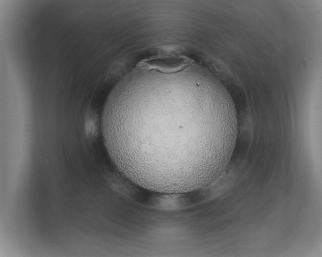 X0000110760090200906221131