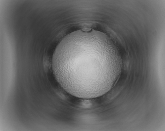 X0000110760091200906221131