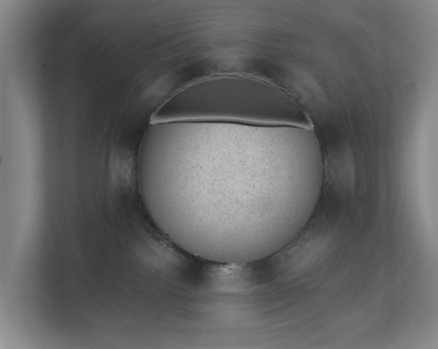 X0000110760092200906221131