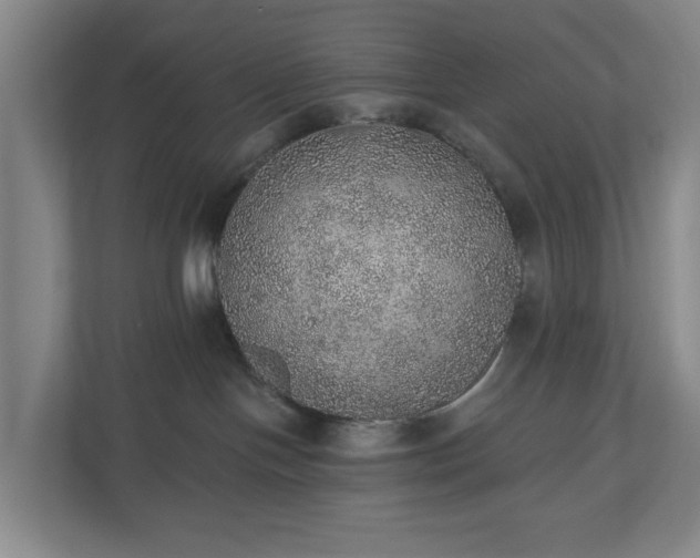 X0000110760094200906221131