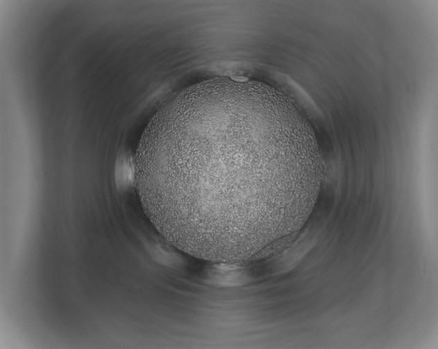 X0000110760095200906221131