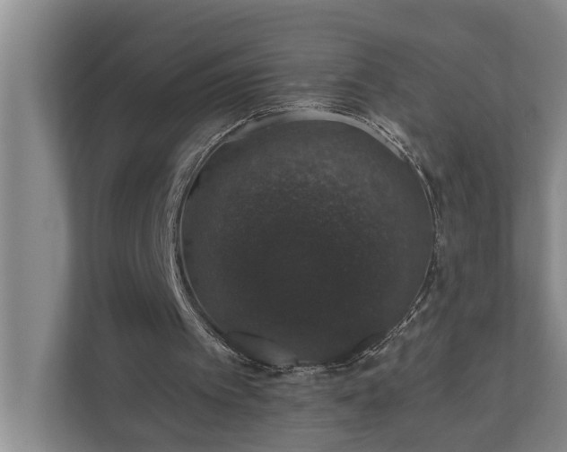 X0000110760097200906221130