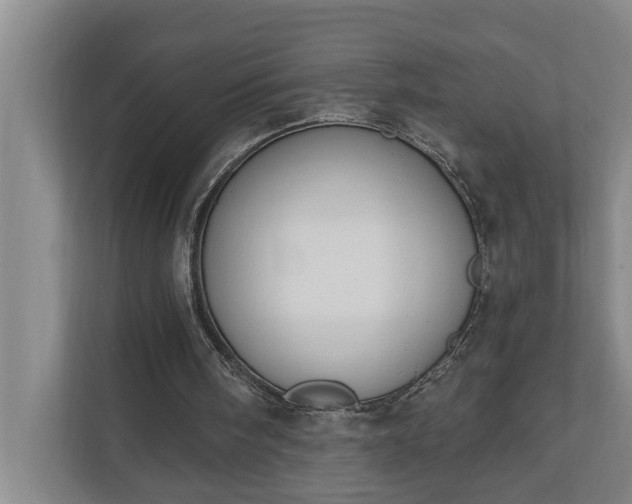 X0000110760098200906221130