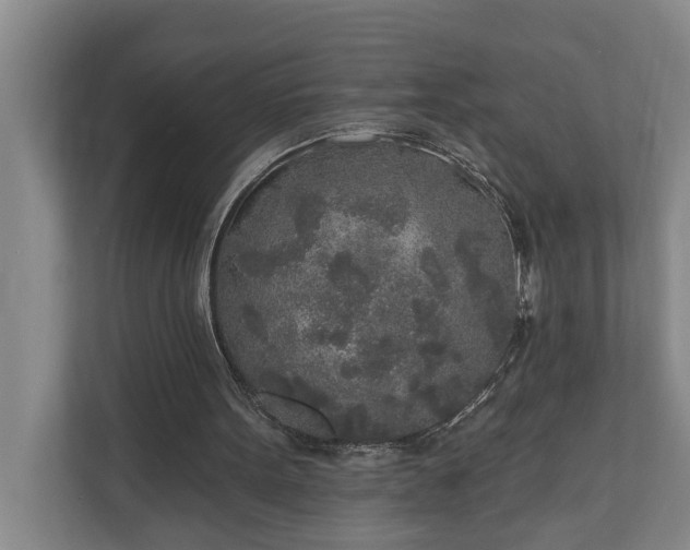 X0000110760099200906221130