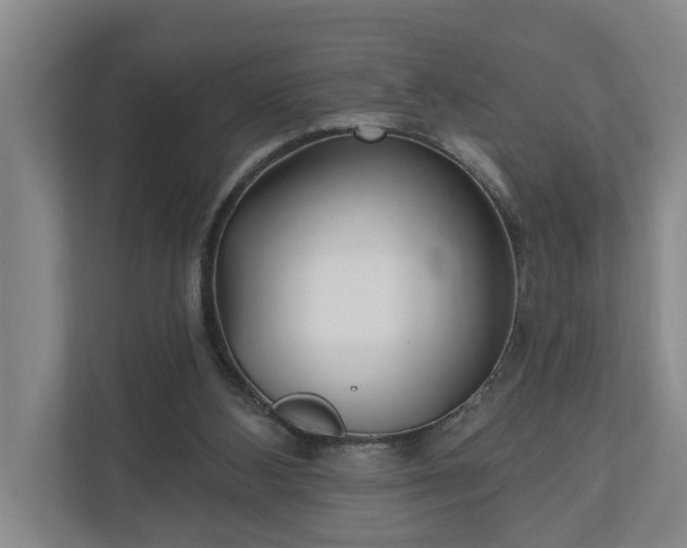 X0000110760108200906221130
