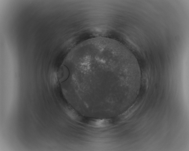 X0000110760130200906221130