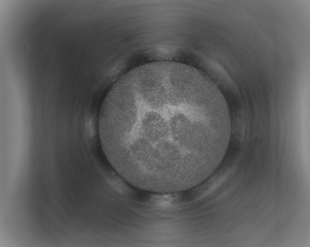X0000110760131200906221130