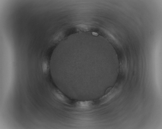 X0000110760134200906221130