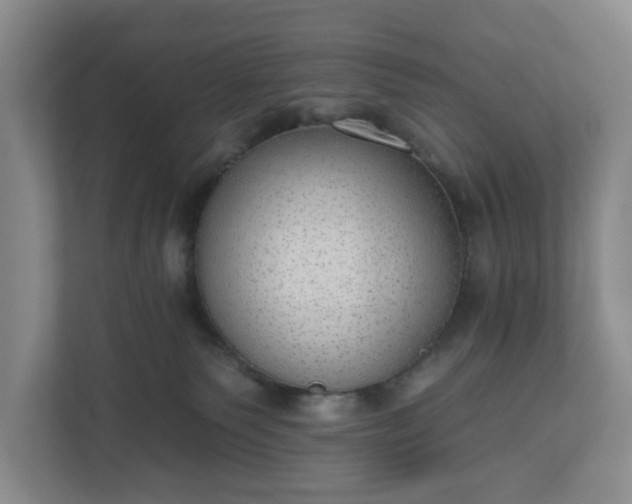 X0000110760135200906221130