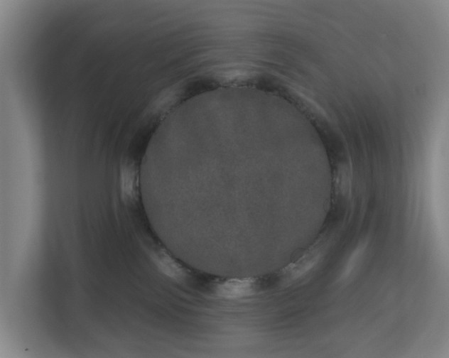 X0000110760138200906221129