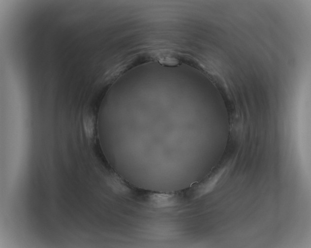 X0000110760139200906221129