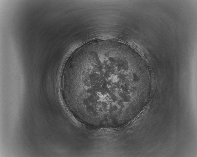 X0000110760145200906221129